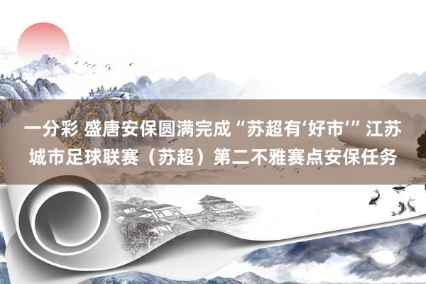 一分彩 盛唐安保圆满完成“苏超有‘好市’”江苏城市足球联赛（苏超）第二不雅赛点安保任务