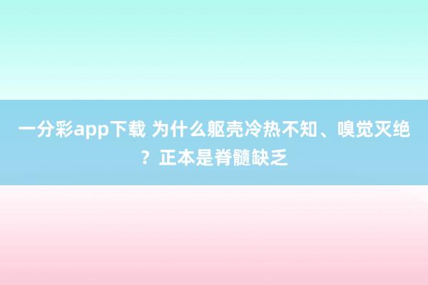 一分彩app下载 为什么躯壳冷热不知、嗅觉灭绝？正本是脊髓缺乏