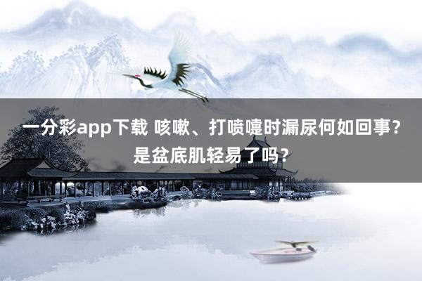 一分彩app下载 咳嗽、打喷嚏时漏尿何如回事？是盆底肌轻易了吗？