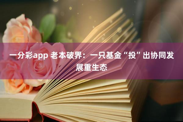 一分彩app 老本破界：一只基金“投”出协同发展重生态