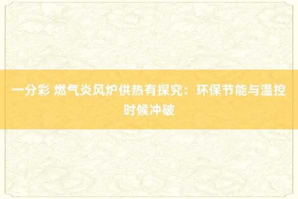 一分彩 燃气炎风炉供热有探究：环保节能与温控时候冲破